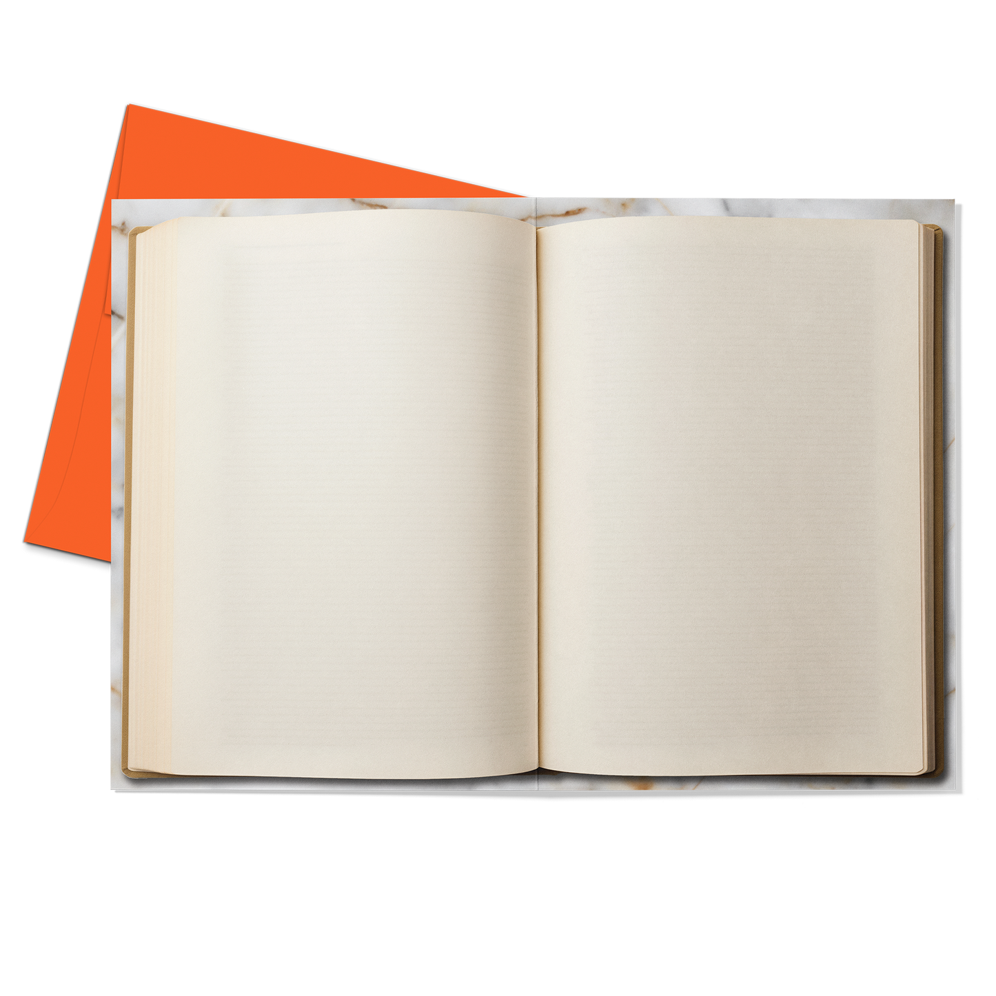 Centurion Bonds Greeting Card (Blank Inside) with Orange Envelope - Studio Ten Design