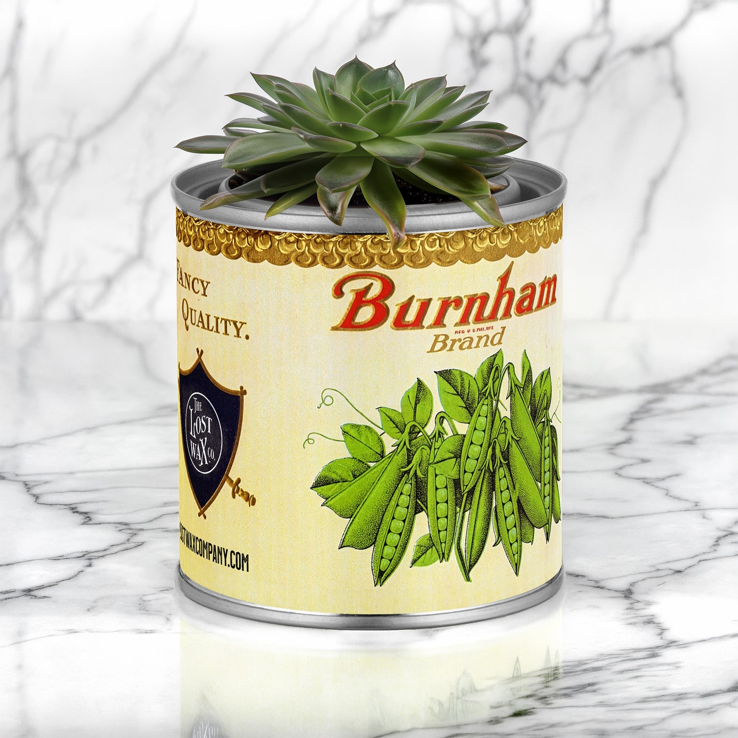 Canned plant with 'Burnham Brand' label on a marble surface
