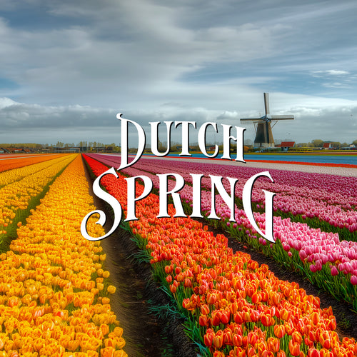Dutch Spring