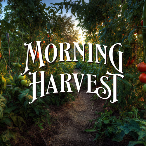 Morning Harvest