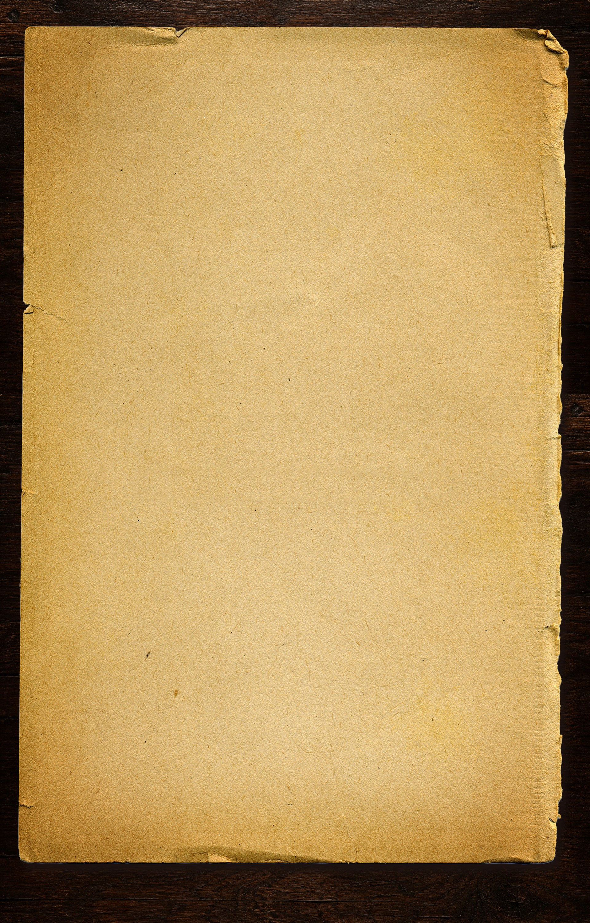 The Archivist's Maxims