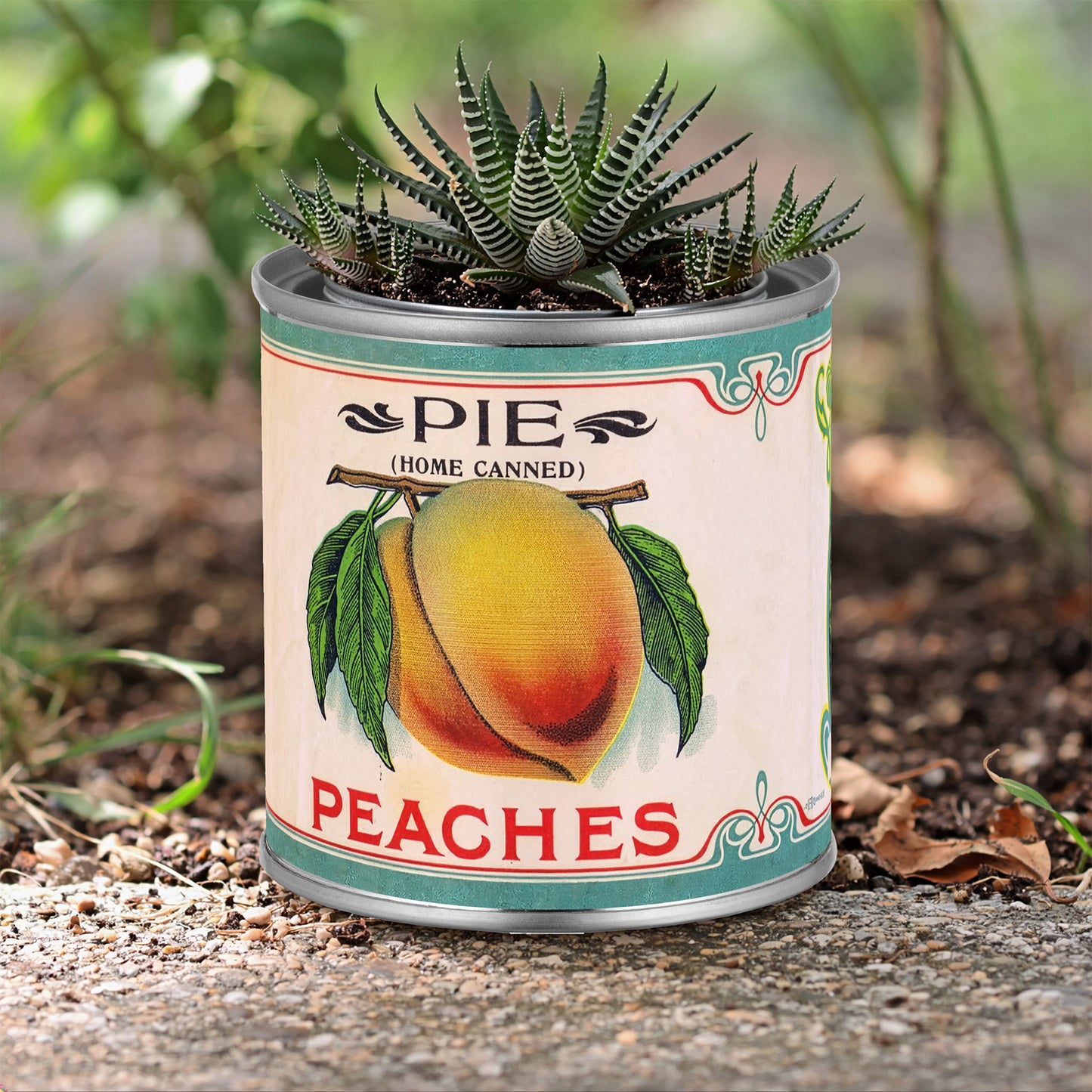 Potted plant in a can labeled 'Pie (Home Canned) Peaches' on a natural background